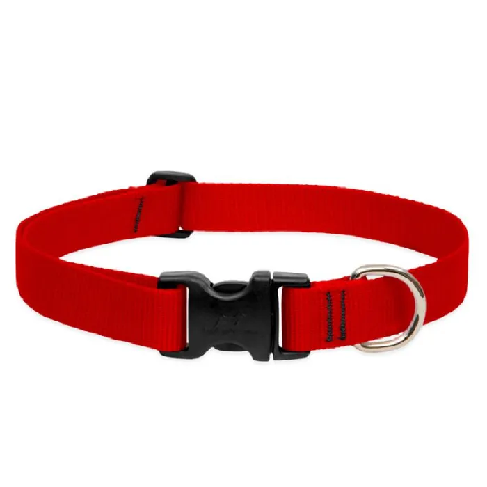 Lupine 1" Adj. Collar Red 12-20"