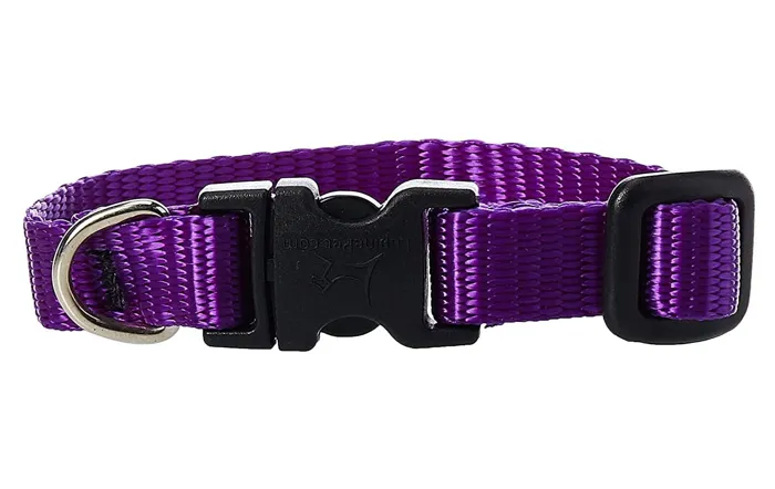 Lupine 1/2" Adj. Collar Purple 6-9"