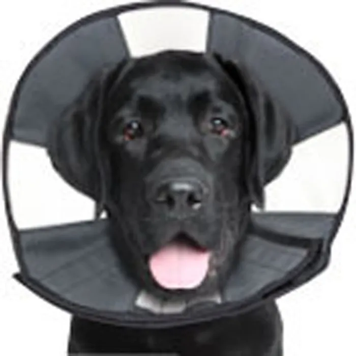 ZenPet Soft Recovery Cone Large