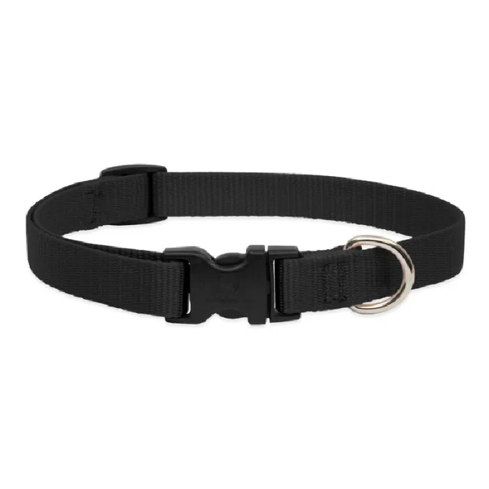 Lupine 3/4" Adj. Collar Black 13-22" 