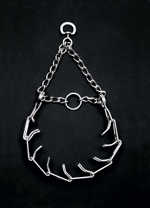 Coastal Tital Prong Collar Med 3.0mm 18"