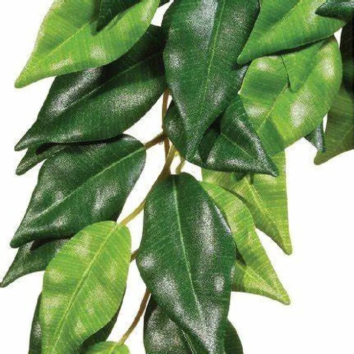 Exo-Terra Silk Ficus Small