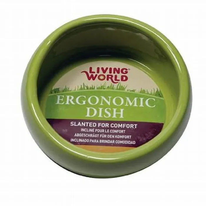 Living World Ergonomic Dish Green Small