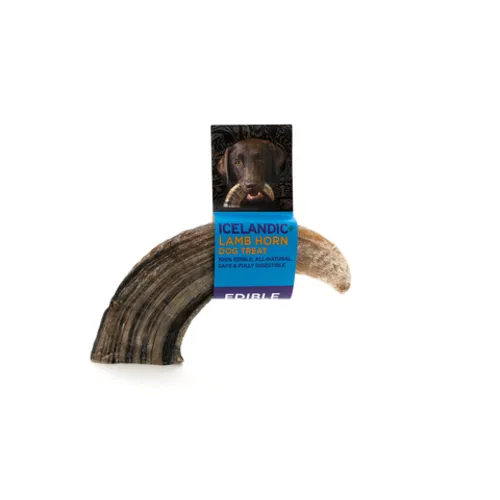 Icelandic+ Lamb Horn