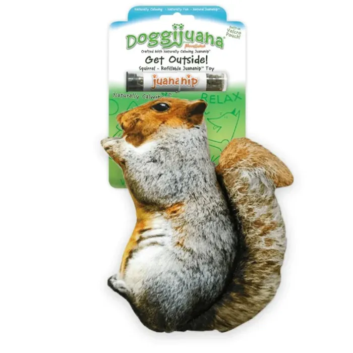 Doggi Get Outdoors Squirrel Toy