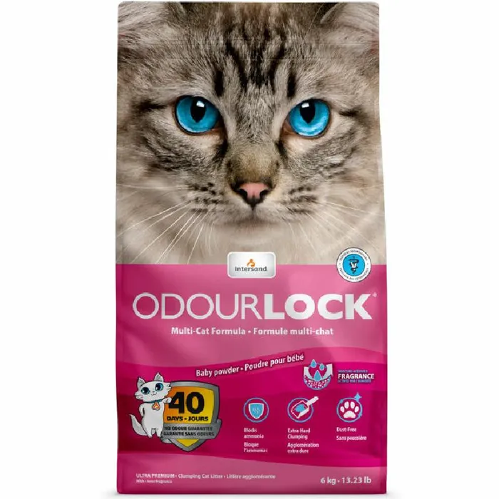 Intersand Odor Lock Cat Litter Baby Powder 13#