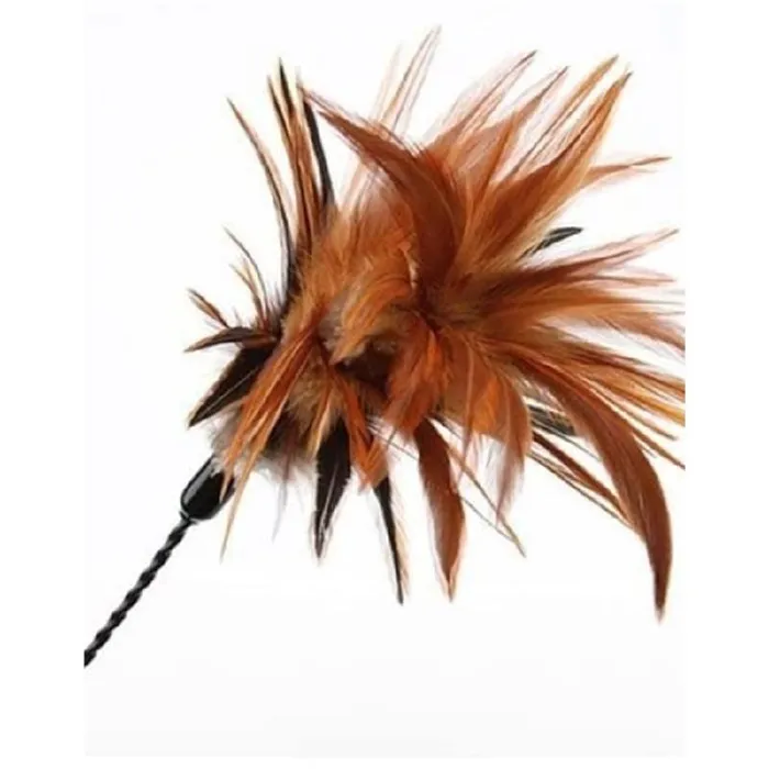 VEE PURRfect Wiggle Bouncer Cat Toy