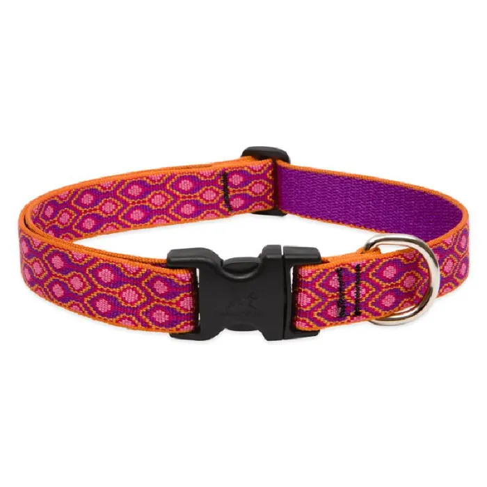Lupine 1" Adj. Collar Alpen Glow 16"-28" 