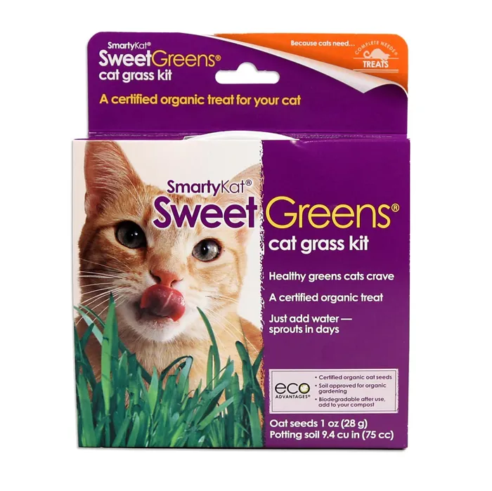 Smarty Kat Sweet Greens Cat Grass Kit
