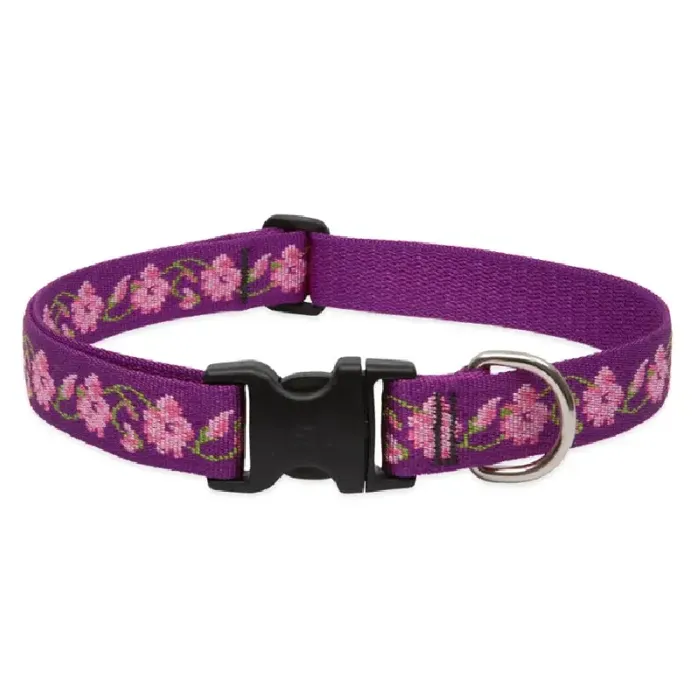 Lupine 1" Adj. Collar Rose Garden 16-28" 