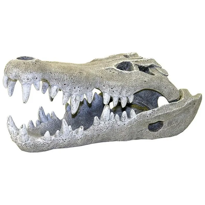 Blue Ribbon Ornament Nile Croc Skull
