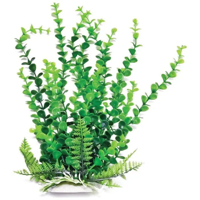 Aquatop Vera Life Elodea Green 6"