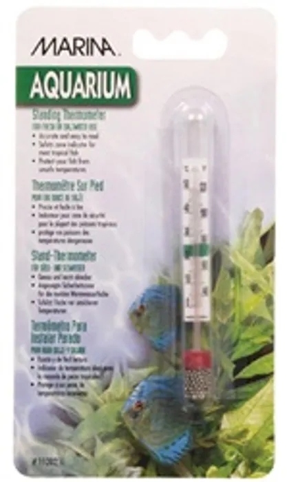 Thermometer Standing