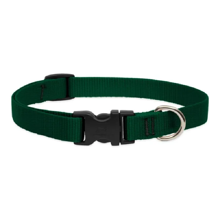 Lupine 3/4" Adj. Collar Green 9-14" 