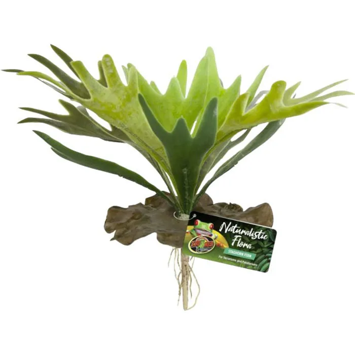 Zoo Med Naturalistic Staghorn Fern