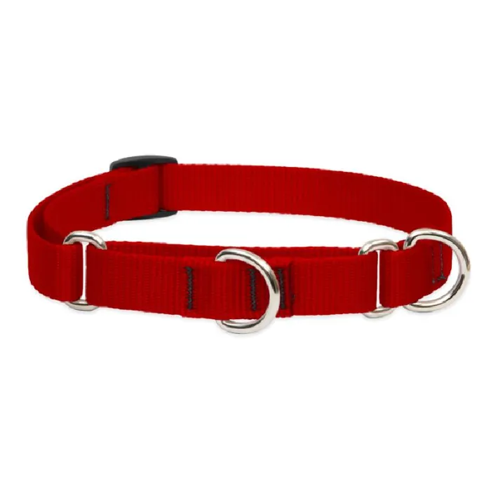 Lupine 3/4" Red 14-20" Martingale