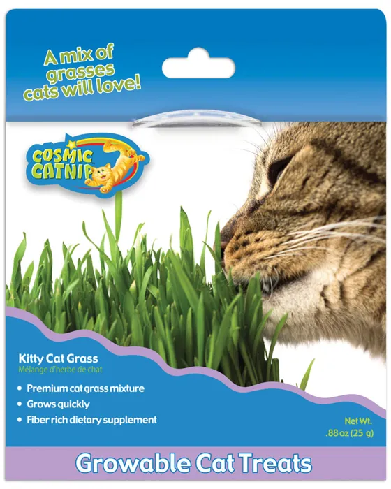 Cosmic Kitty Cat Grass