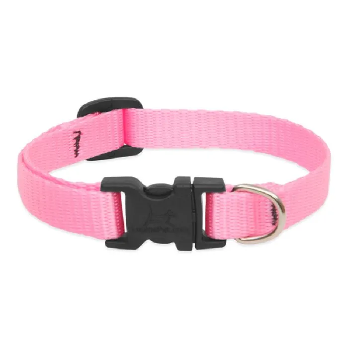 Lupine 1/2" Adj. Collar Pink 10-16"