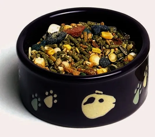 Petware Dish Guinea Pig Paw Print