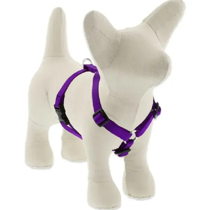 Lupine 1/2" Purple 12-18" Step in