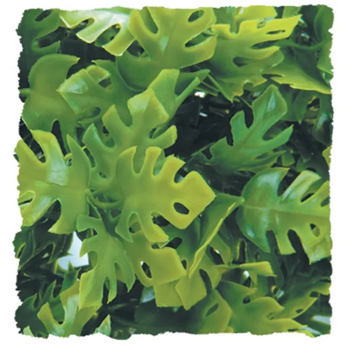 Natural Bush Amazon Phyllo Small