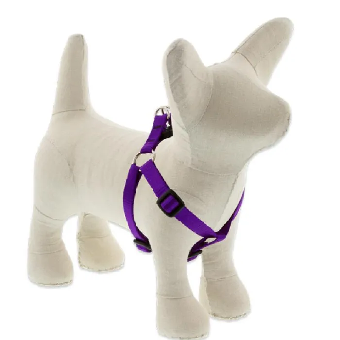 Lupine 1/2" Purple 10-13" Step In