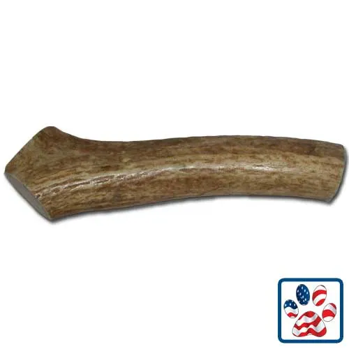 Jumbo Whole Antler