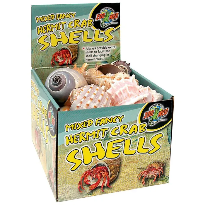 ZOO HERMIT FANCY SHELLS 24PC