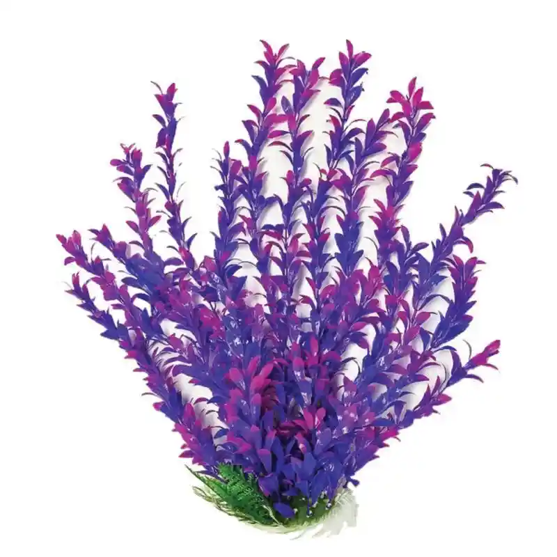 Aquatop Hygro Plant Pink/Purple 20"