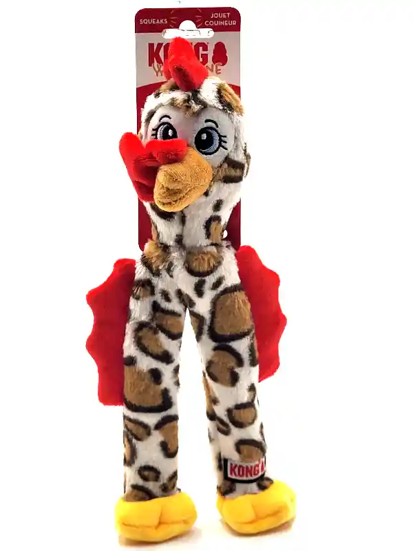 Kong Wishbone Asst Dog Toy Md