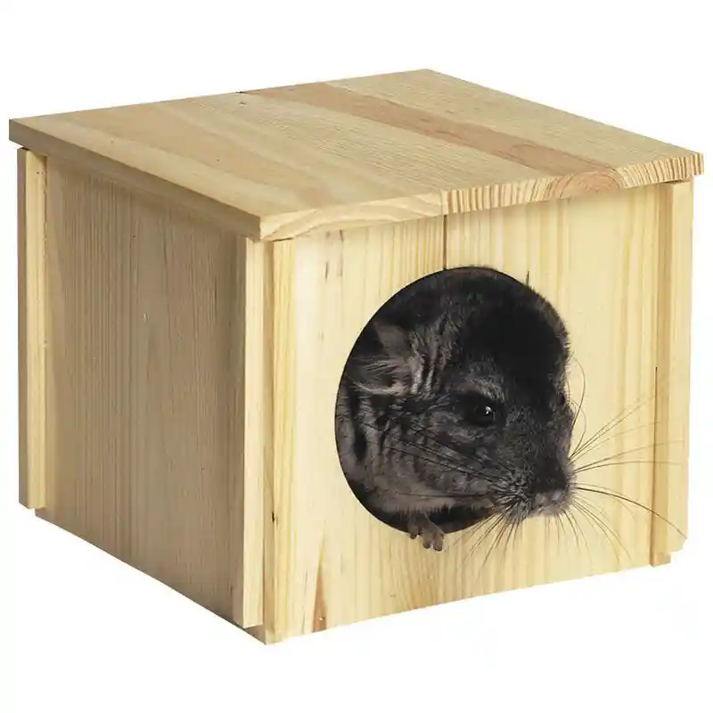 Pts Chinchilla Hut