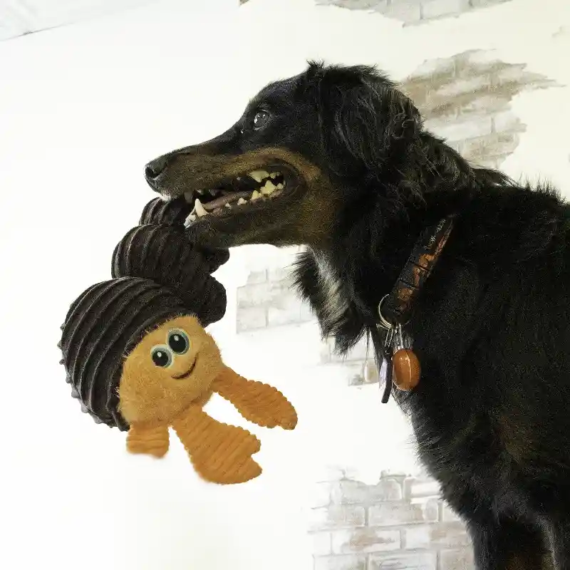 Kong Cuteseas Rufflez Hmcrb Sm