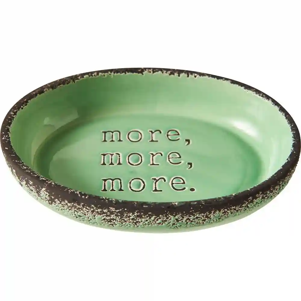 Spot More Stoneware Cat Dish Green 6-in