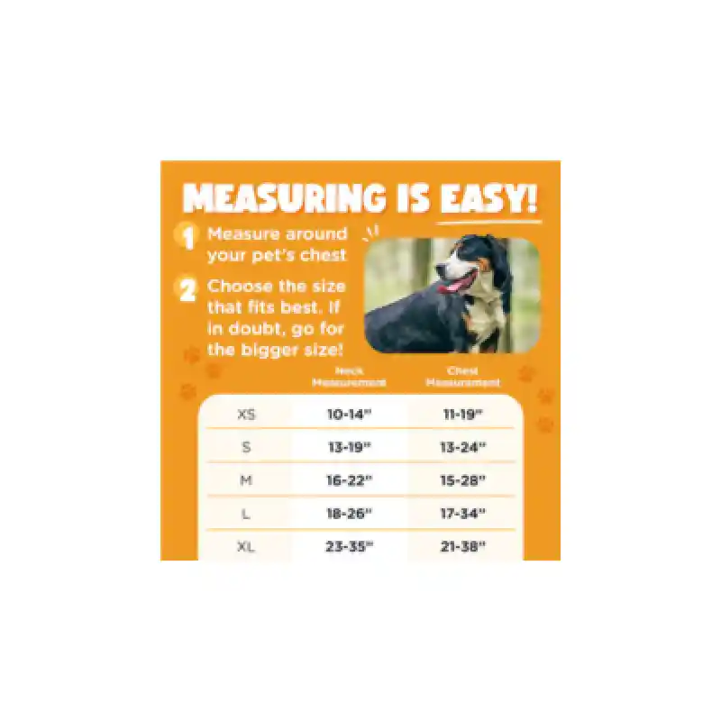 Bark Appeal Control Harness Black XS
