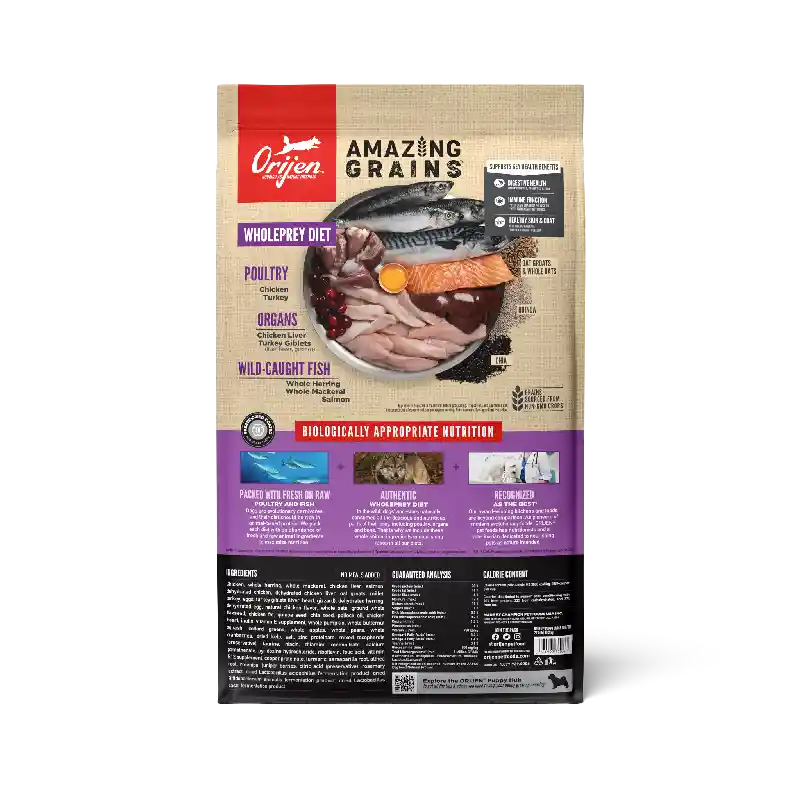 Champion Dog Orijen Amazing Grain Lb Puppy 22.5-lb