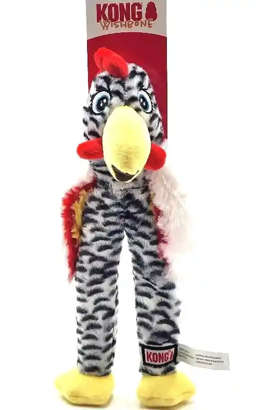 Kong Wishbone Asst Dog Toy Md