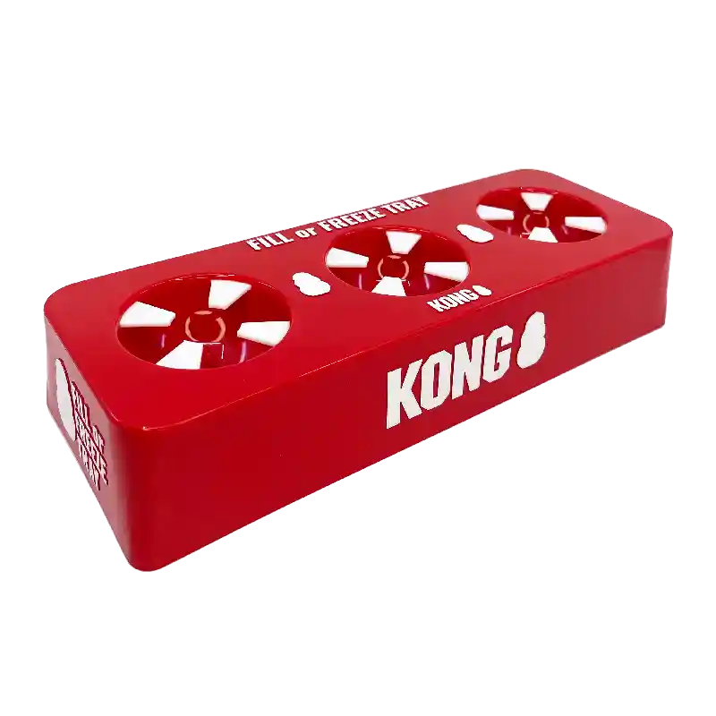 Fill Or Freeze Tray Fft Kong 12/cs