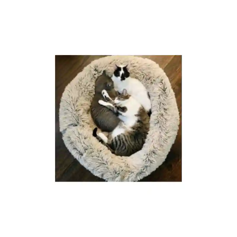 Tall Tails Bed Dream Chaser Cuddle Frosted Khaki 1