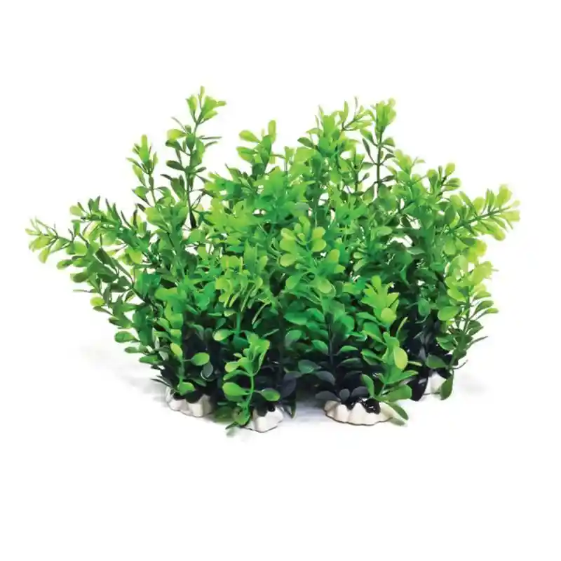 Aquatop Assorted Plants Green 6" 12pk