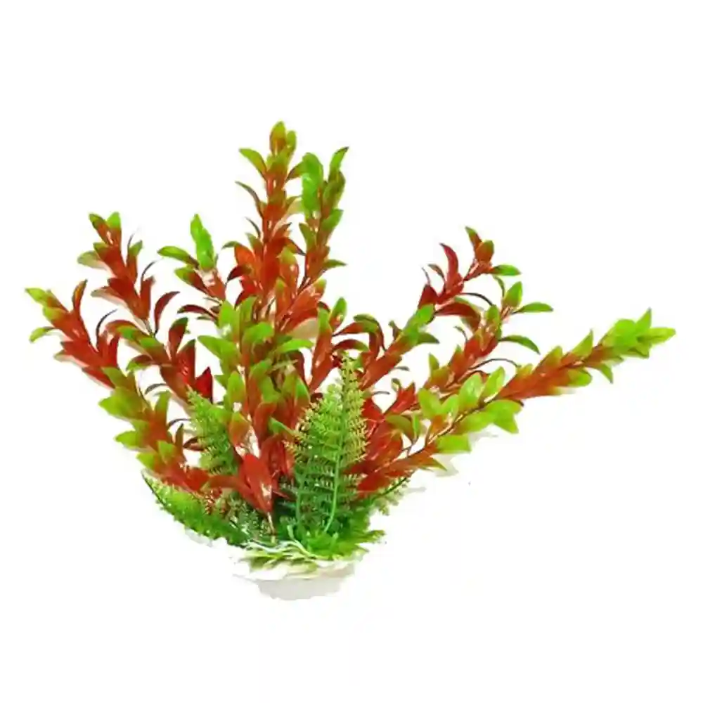 Plant Hygro Green/red 20