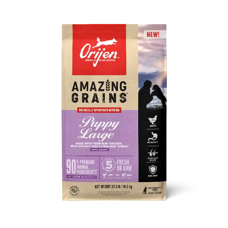Champion Dog Orijen Amazing Grain Lb Puppy 22.5-lb