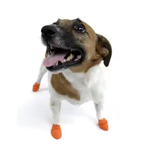 Waterproof Dog Boots, Orange, 12 Count X-small