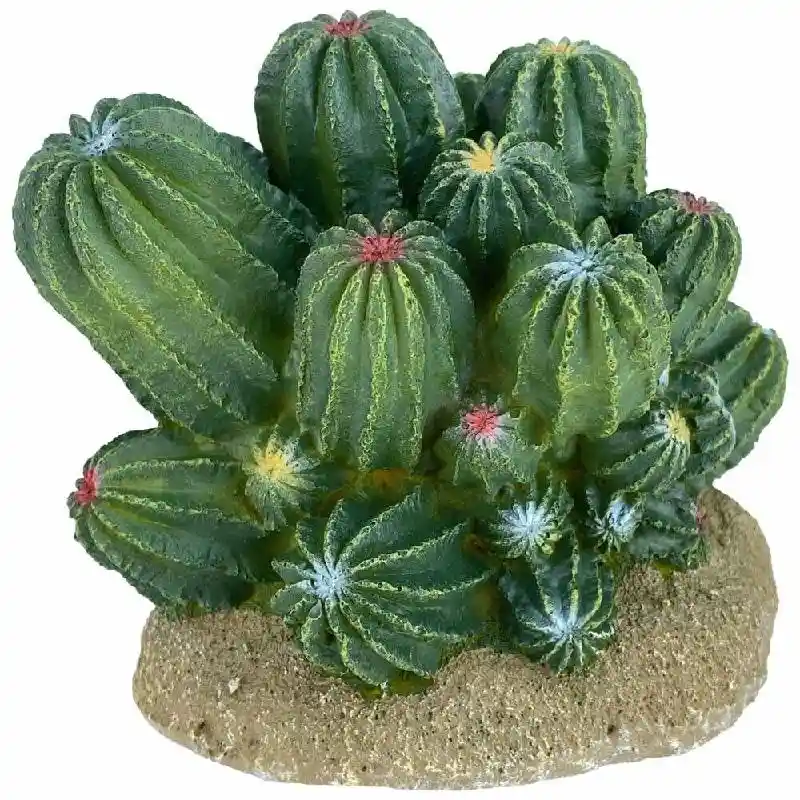 Kom Plnt Cactus Barrel 4in