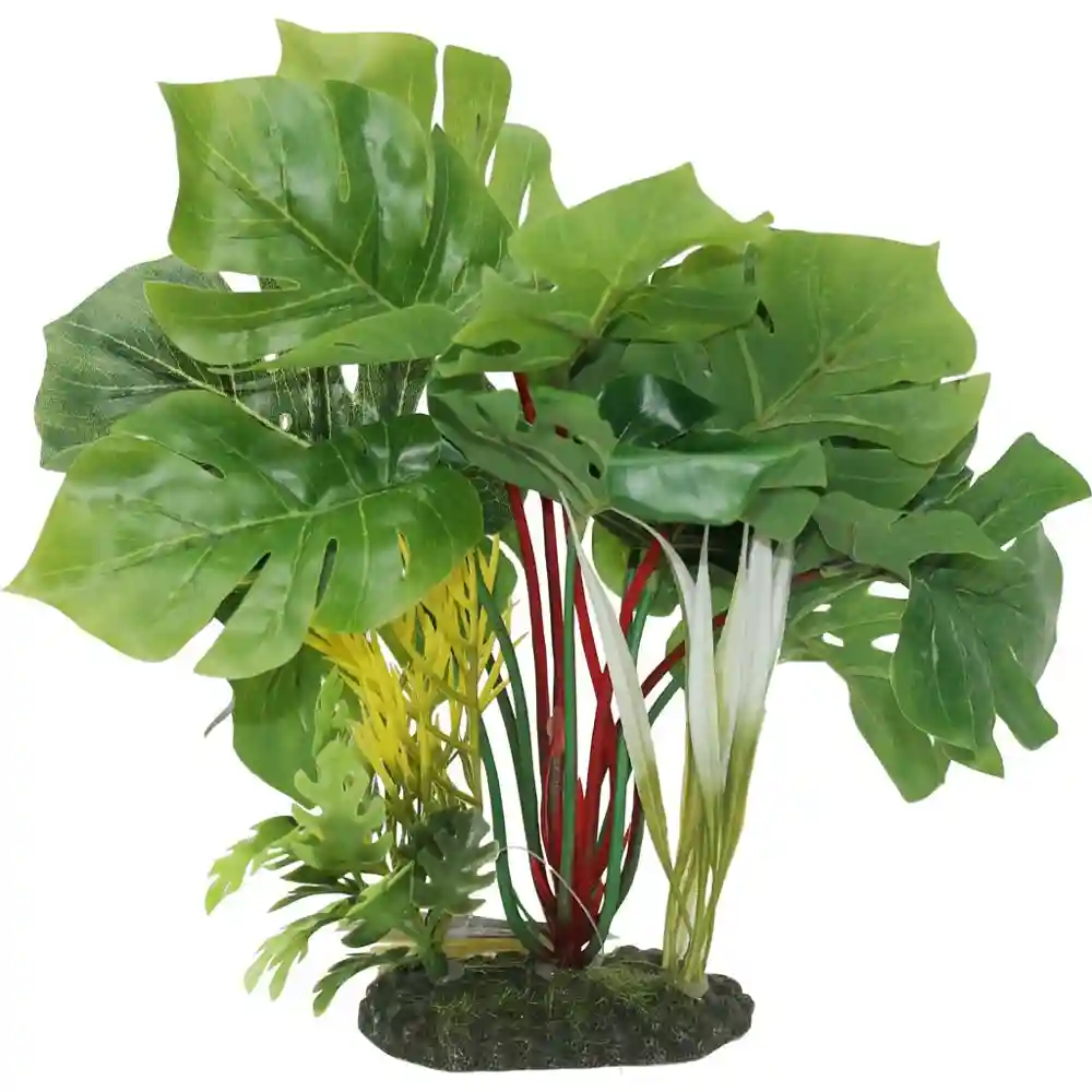 Blue Ribbon Plant Split Leaf Philo