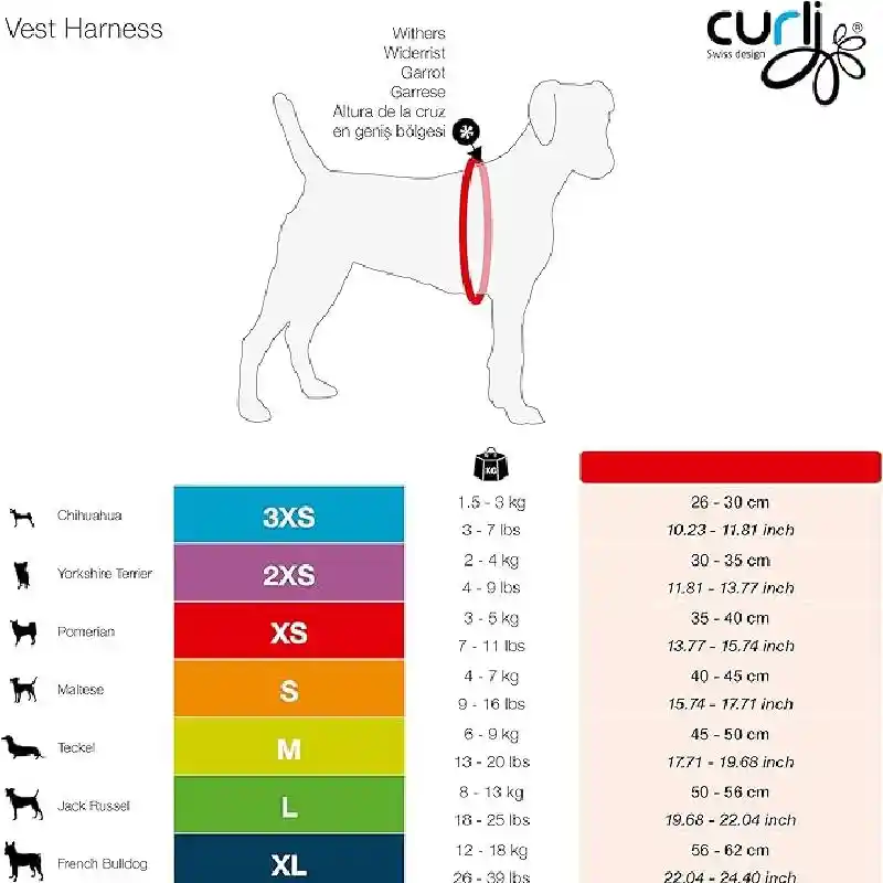 Curli Clasp Vest Hrns Ruby Lg