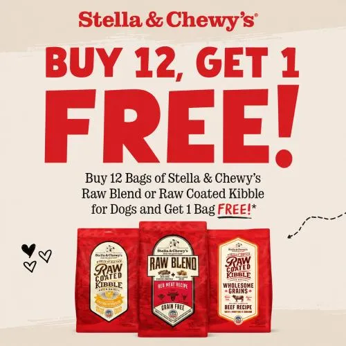 Promotion Image