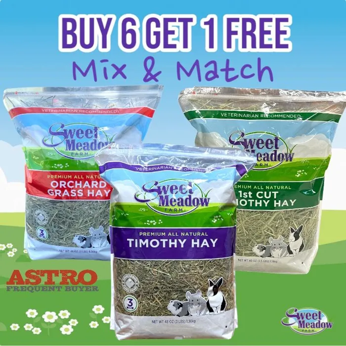 Promotion Image