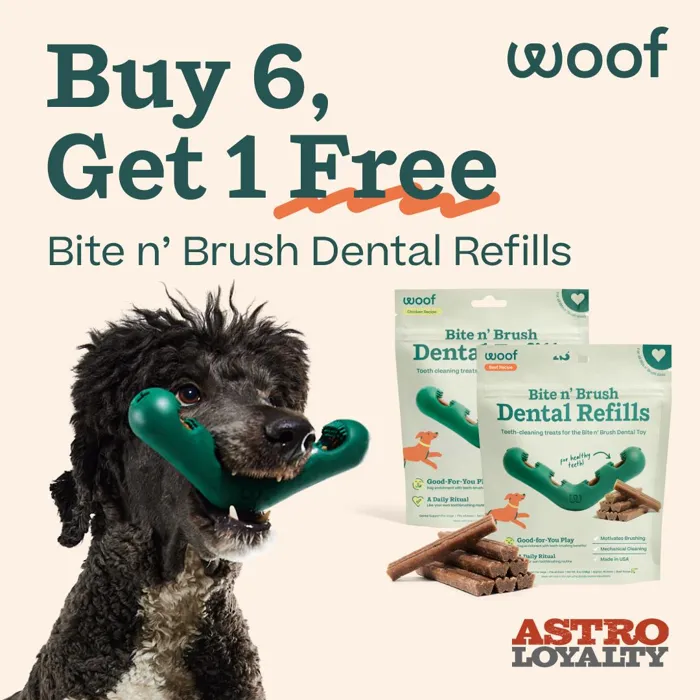 Promotion Image