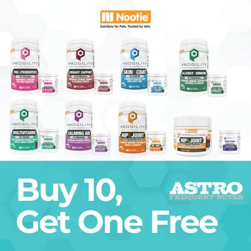 Promotion Image