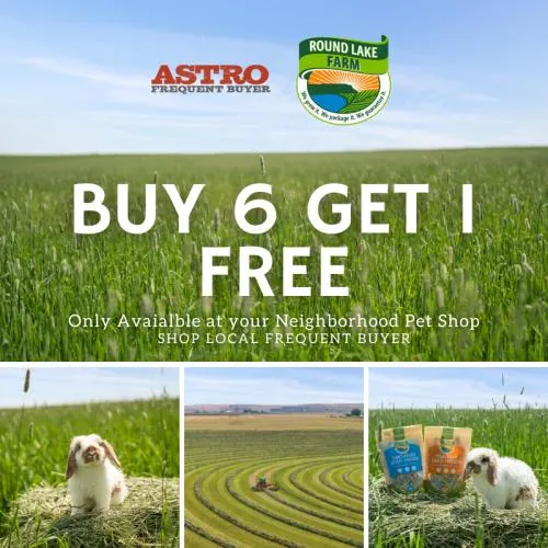 Promotion Image